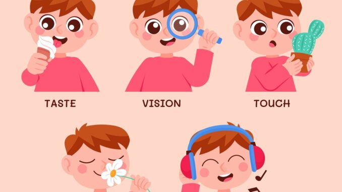 hand-drawn-5-senses-illustration_23-2149994340